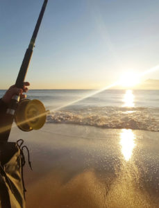 65B_Sunrise_Portrait_v1_current